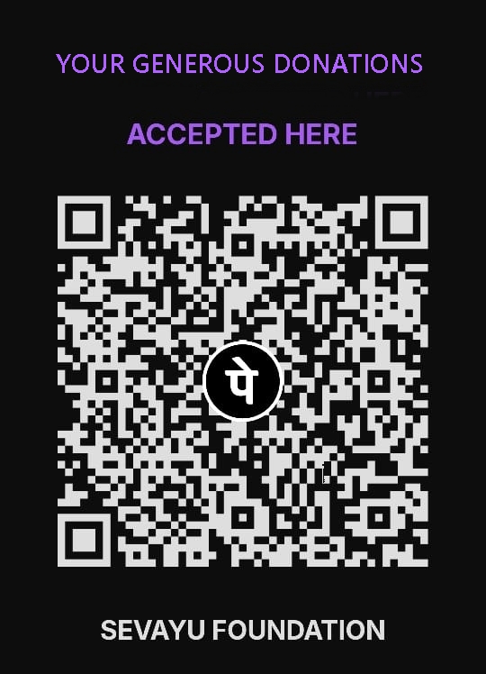 Donation QR Code